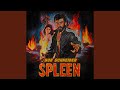 Spleen