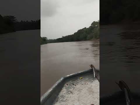tarde de pescaria com os amigos no rio Balsas. Loreto-MA ❤️🎣