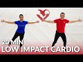 20 Minute Low Impact Cardio Workout at Home - Full Body Standing Cardio HIIT No Jumping Beginners