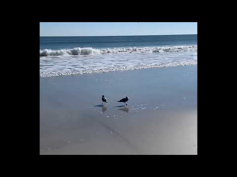 Drippin' Swag 3 (Kobe Year Recap) #TakingTrips