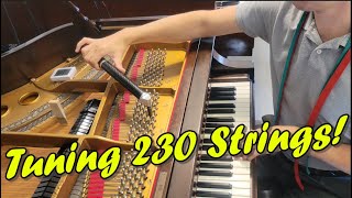 Piano Tuning Workflow: How 230ish Strings are Tuned