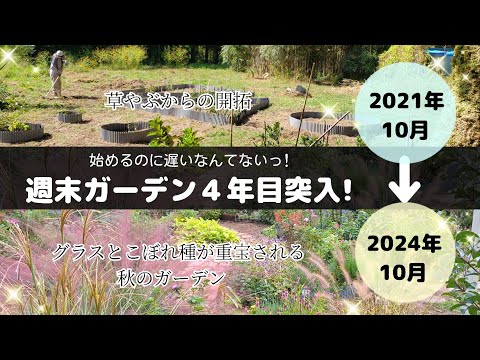 園芸 線状葉のメギ