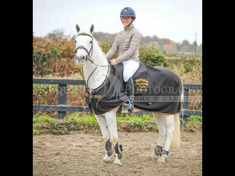 π Schoolmaster SJI pony π - Image 2