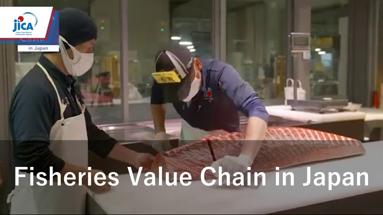 【Agricultural and Rural Development】Fisheries Value Chain in Japan(Digest)