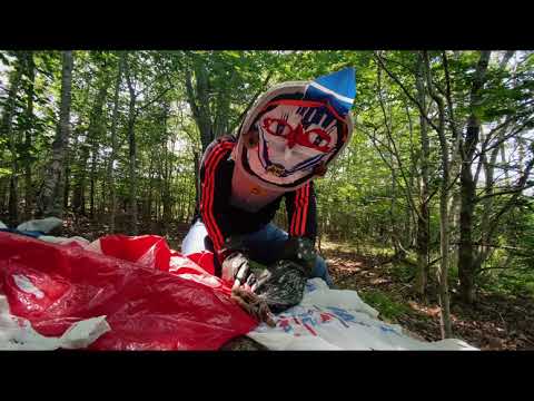 "CHRYSALIS" A Short Film By RAE