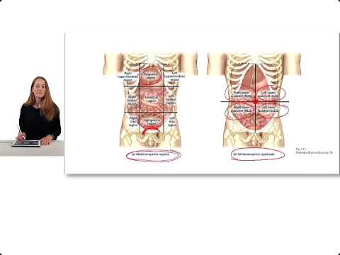 Introduction to Clinical Anatomy