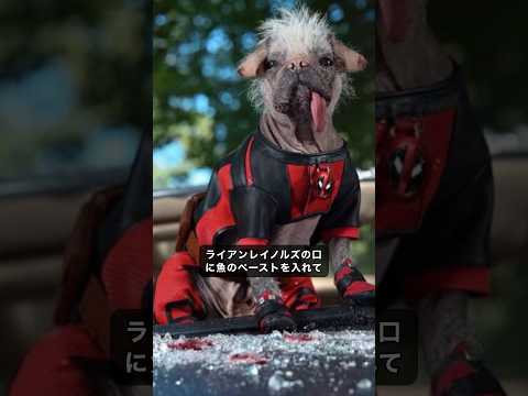 園芸 パープルデッドプール