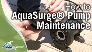 Aquascape's AquaSurge Pump Maintenance & Troubleshooting Tips
