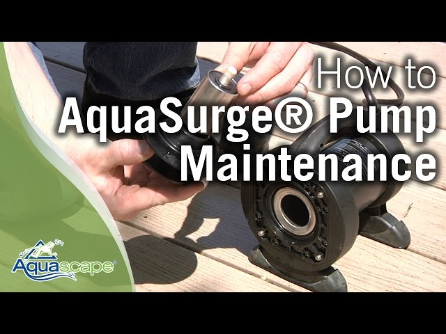 Aquascape's AquaSurge® Pump Maintenance & Troubleshooting Tips