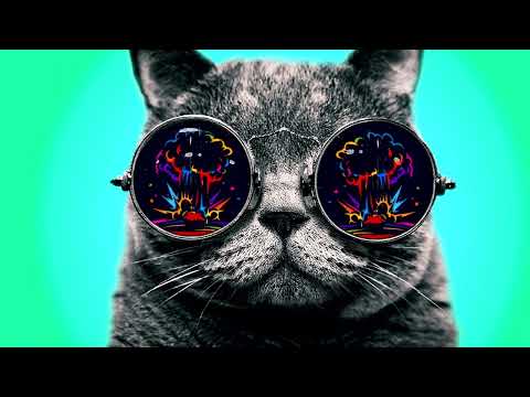 Dj  Andrez  Open Air