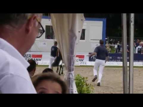 Stutenschau in Rastede hier mit "Voice" am 23.Juli 2015