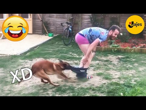 SI TE RÍES PIERDES NIVEL DIOS #161 🤣 VIDEOS DE RISA MUY GRACIOSOS 2026 🤣