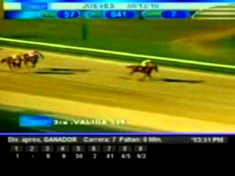 Resumen Jueves, 30 de Diciembre de 2010 - Valencia