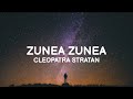 Cleopatra Stratan - Zunea Zunea (Lyrics)