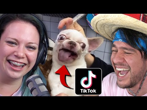 TikToks That Made Us Laugh