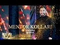 Dashnia Mentor Kollari