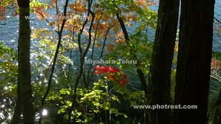 紅葉の屈斜路湖