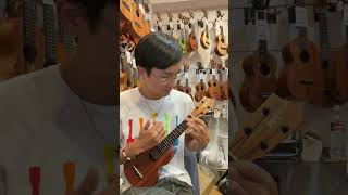 Download lagu Kamaka HF-1 Soprano #231253 [UKULELE PUAPUA] #musicalinstrument #ukulele #music #hawaii mp3