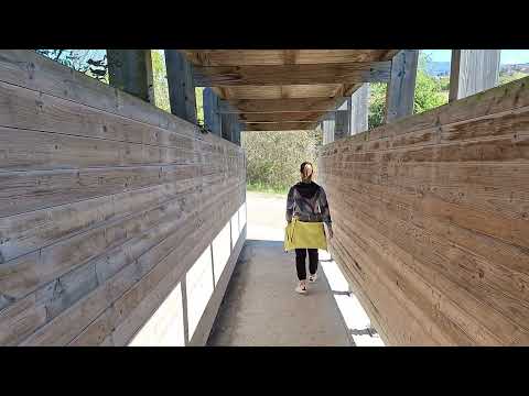 Skocjanski Zatok Nature Reserve A Peaceful Oasis Near Koper