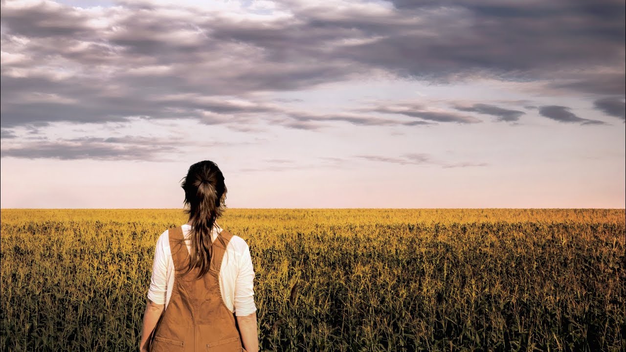 MODIFIED - OFFICIAL TRAILER