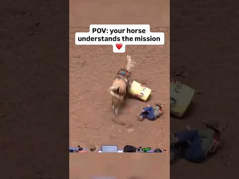 Peanut the barrel horse goes down at the NFR… the rider comes off… and Peanut gets up and finishes