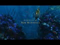 The Little Mermaid 2023 End Credits Under The Sea HD