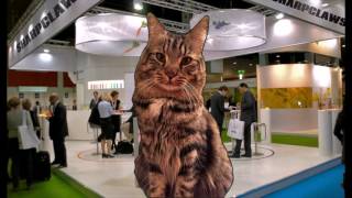 Cat President - A More Purrfect Union - Part 8 The End