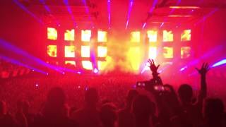 Steve Angello- Rebel Nation (feat. Andrew Watt)- Wild Youth