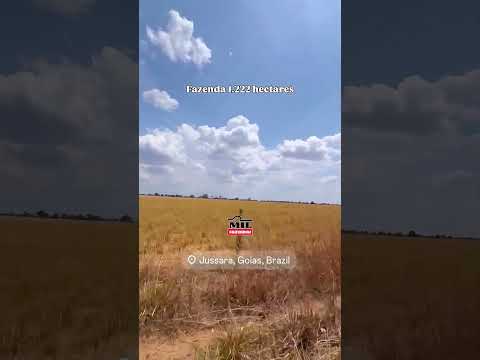 Fazenda Dupla Aptidão montada para pecuária no vale do Araguaia #fazendaavenda #agro