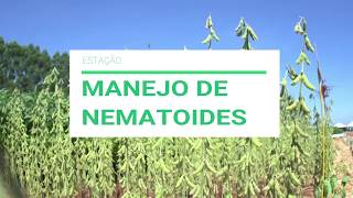 Miniatura do vídeo