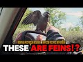 CROWS ARE TAKING OVER THE WORLD BRO CASUAL GEOGRAPHIC