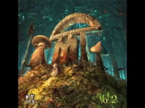 INFECTED MUSHROOM - Friends on Mushrooms, Vol. 2 - Trance Party