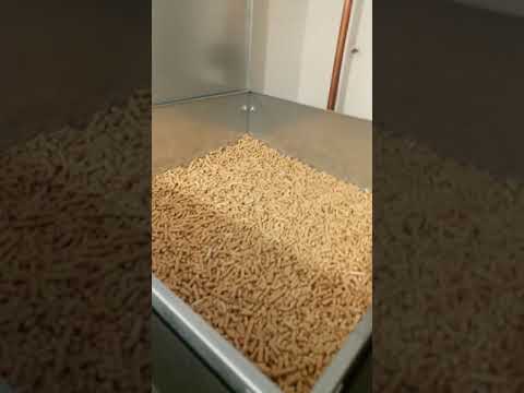 Kostrzewa Mini Bio Luxury 12KW w kotłowni 2,67 m2. Piec na pellet