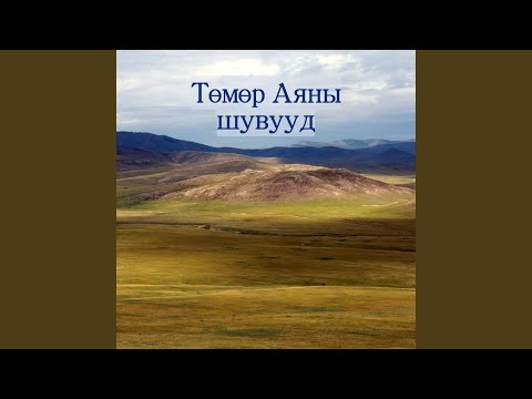 Төмөр Аяны шувууд