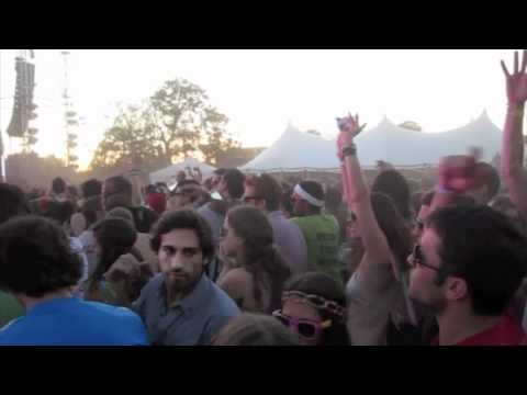 Electric ZOO 2010 : Boyz Noize - Atrack - Avicii - Aoki