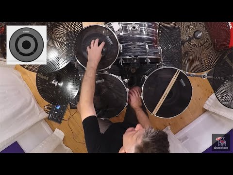 Using The EAD with EVANS dB ONE system