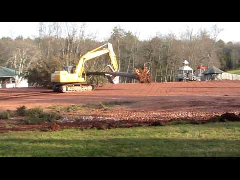 Lumberjacks at Mogen Av!