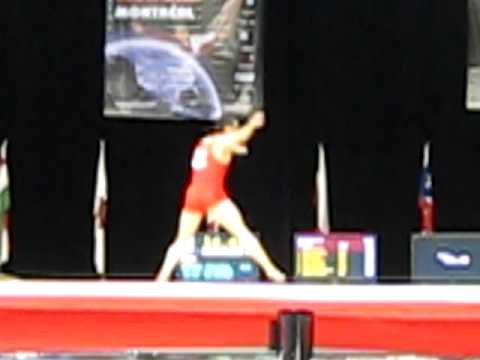 Razvan Selariu- 2008 World Cup Montreal- FX
