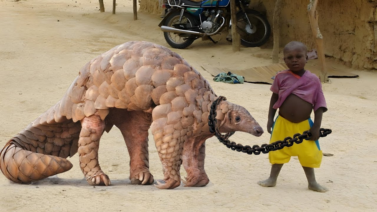 6 MOST DANGEROUS AND UNUSUAL PETS IN THE WORLD