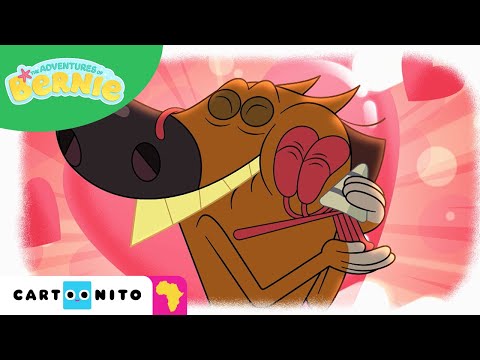 The Adventures of Bernie | Amusement Park | Cartoonito Africa