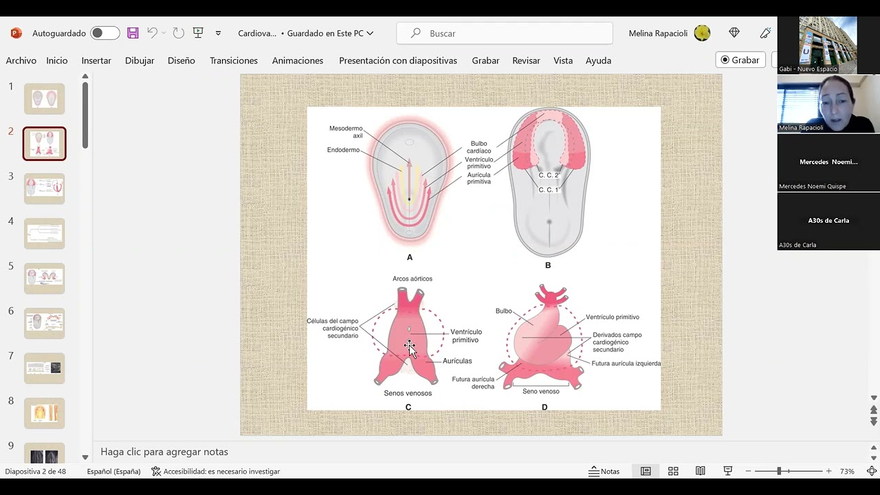 PARALELO DE EMBRIOLOGÍA - APARATO CARDIOVASCULAR