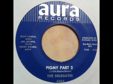 Billy Larkin and the Delegates    Pigmy    (part two)