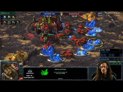 Guide: How to Annihilate a Skytoss Opponent