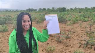🌴🌴 She Purchased African Land On Black History Month