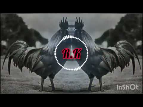 मुर्गा डीजे सॉन्ग/cock dj songs #cocksong