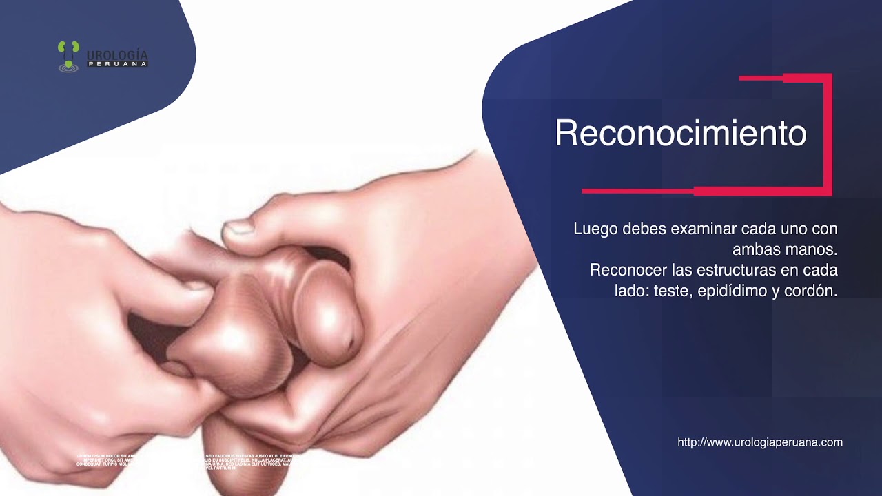 Luis Susanibar Napuri-41