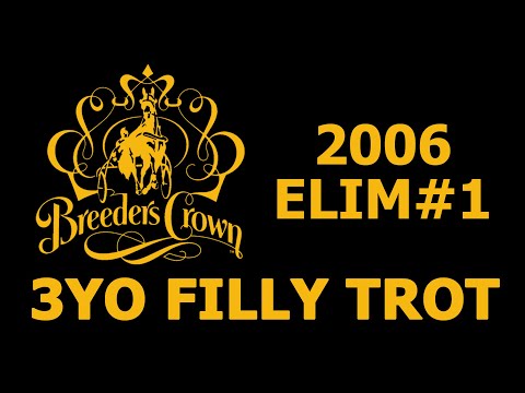2006 Breeders Crown Elim#1 - Pure Ivory - 3YO Filly Trot