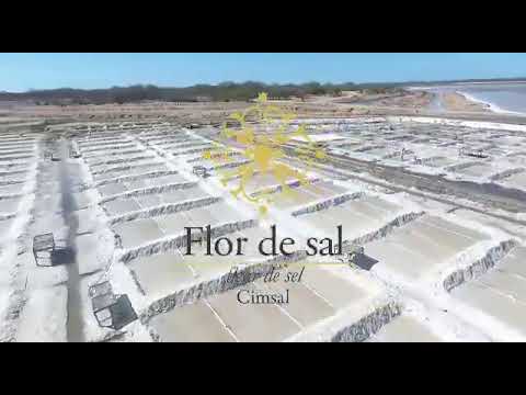 Flor de sal