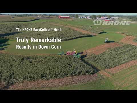 KRONE EasyCollect™ FP Head in Down Corn on competitive choppers