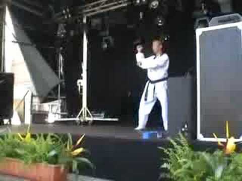 Demo Taekwondo Someren